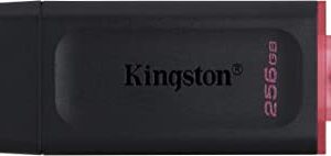 Memoria Usb 256gb 3.2 KINGSTON DTXM/256GB