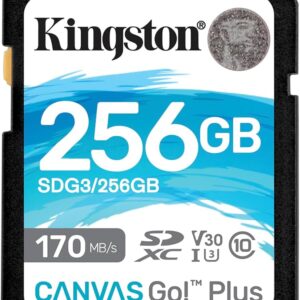 Memory Card Secure Digital 128gb KINGSTON Classe 10 SDR2V6/128GB